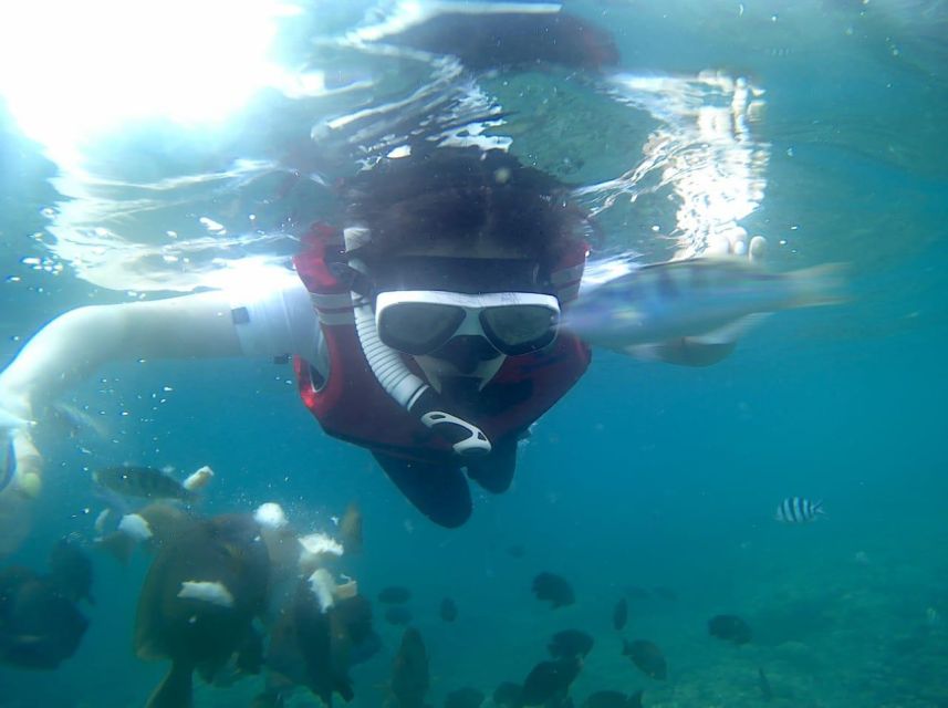 Bali: Blue Lagoon And Tanjung Jepun Snorkeling Trip - Inclusions of the Trip