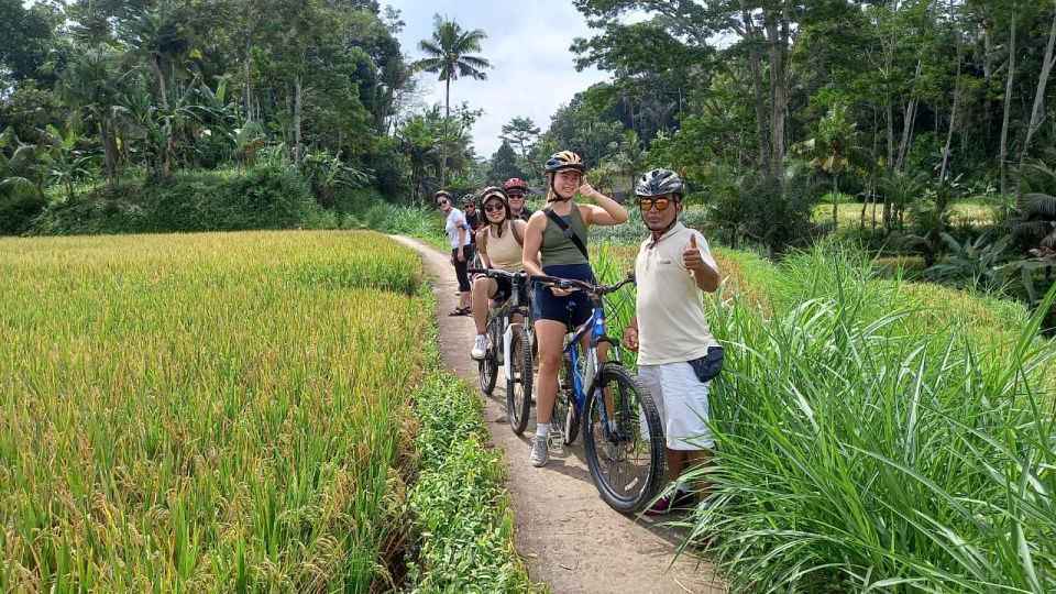 Bali Countryside Cycling Tour - Visiting Penglipuran Traditional Village