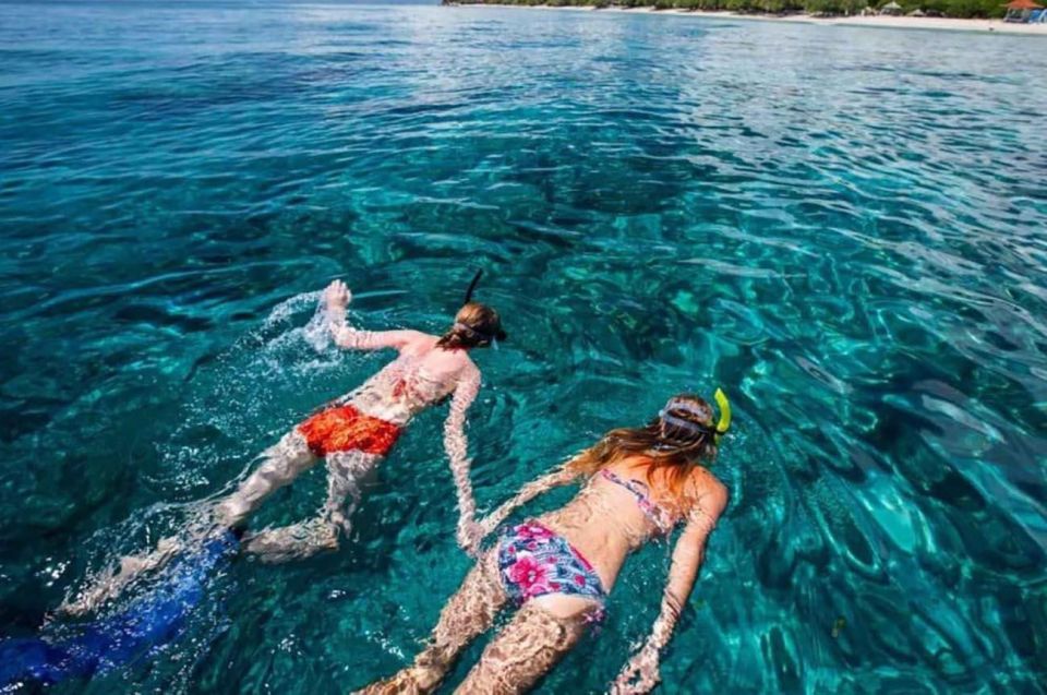 Bali: Dolphin Watching, Snorkeling & Hot Spring Tour - Snorkeling Adventure