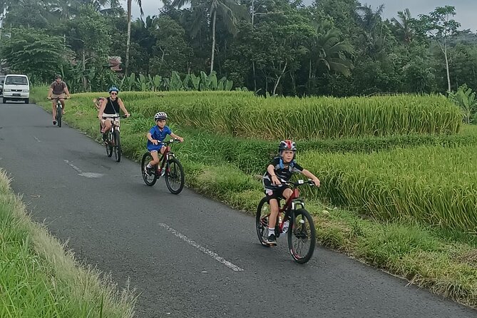 Bali Downhill Natural Cycling Tour & Visit Volcano - Pickup Locations