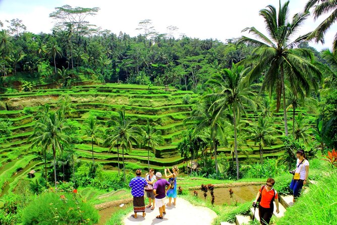 Bali: Full-Day Customized Bali Tour With Hotel Transfers - Customizing Your Itinerary