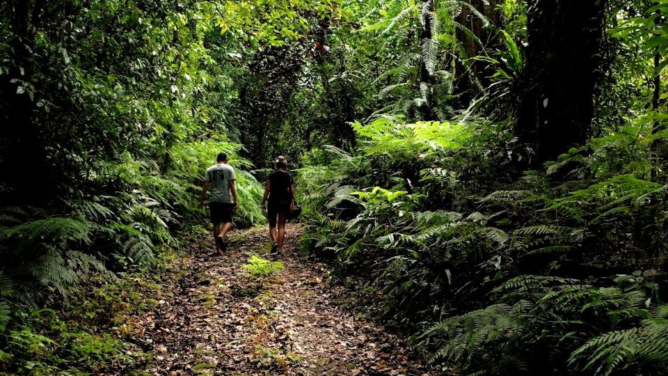 Bali: Half-Day Bayad Eco Hike - Discovering Local Spices