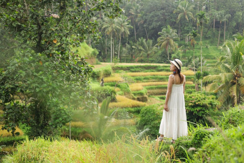 Bali: Highlight Tour With Personal Photographer - Pricing and Booking