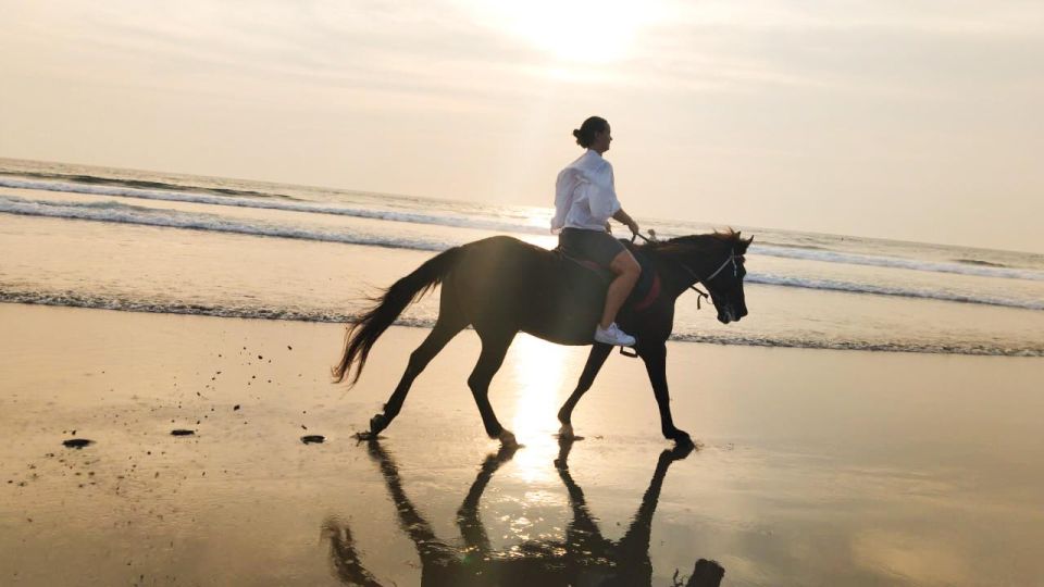 Bali: Horse Riding Tour on Seminyak Beach Include Transport - Highlights