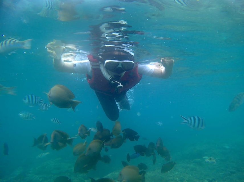 Bali: Private Snorkeling To Blue Lagoon And Tanjung Jepun - Snorkeling Highlights