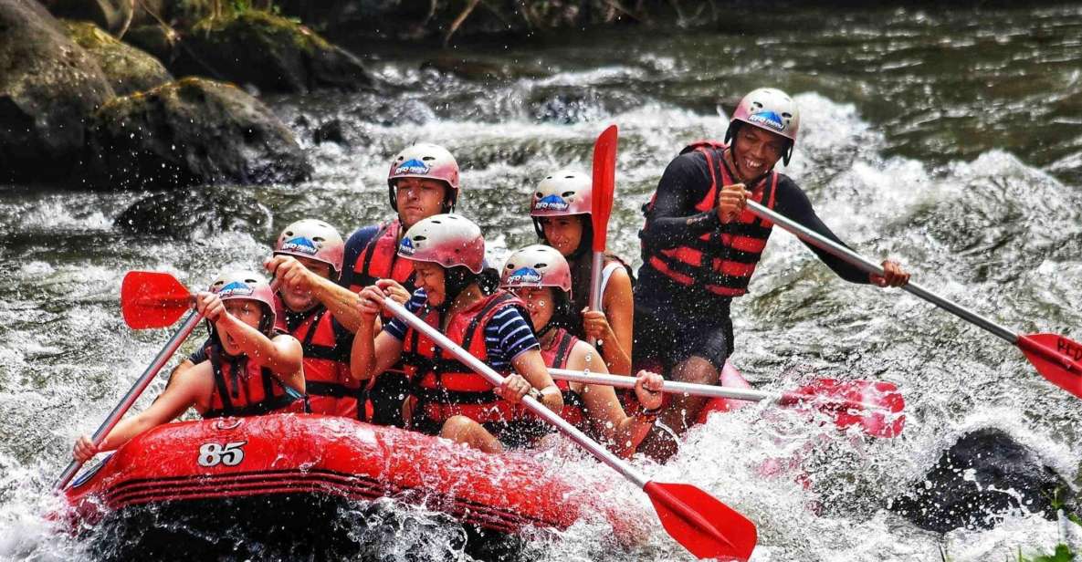 Bali Rafting Adventures and Ubud Day Trip - Itinerary and Highlights