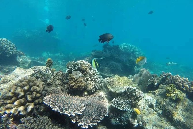 Bali Snorkeling at Blue Lagoon Include Private Transport - Pickup Locations and Meeting Point