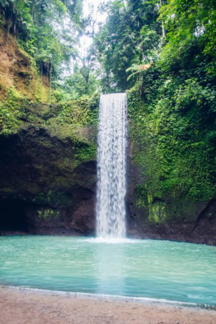 Bali: Ubud Monkey Forest & Waterfall - Highlights of the Tour