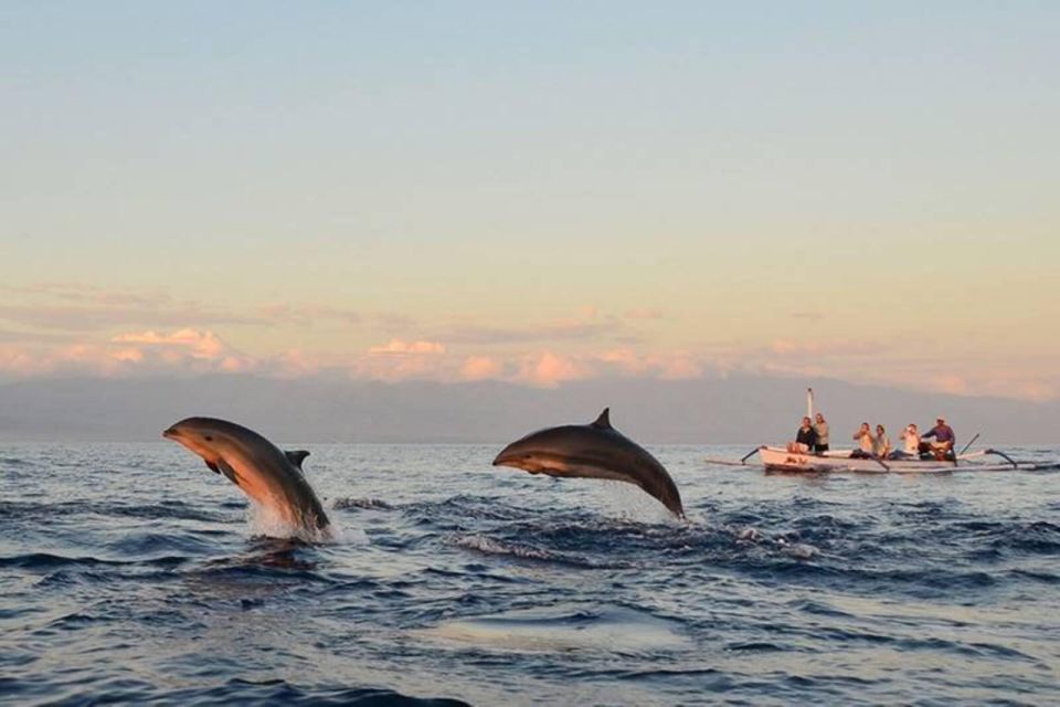 Bali: Watching Dolphin,Snorkeling & Hot Spring - Snorkeling at Lovina Coral Reef