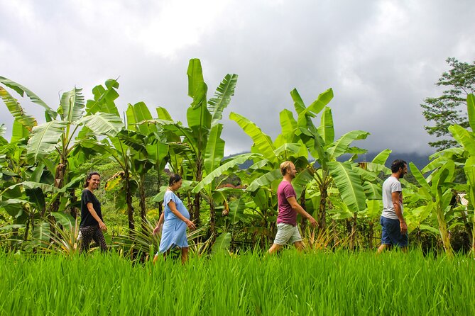 Balinese Vegan Cooking Class With Fresh Harvesting & Garden Tour - Harvesting Fresh Ingredients