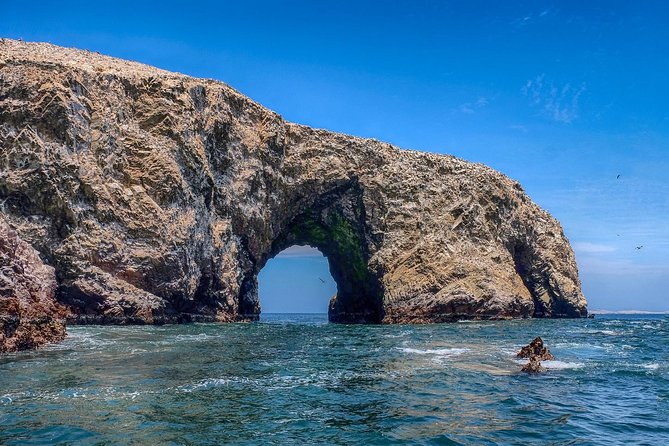 Ballestas Islands and Paracas Reserve From San Martin Port - Itinerary Details