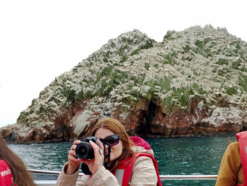 Ballestas Islands Tour - Wildlife Encounters