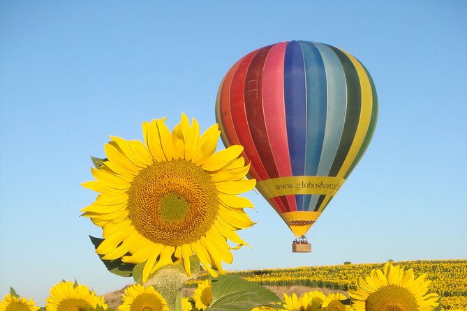 Balloon Rides in Segovia With Optional Transportation From Madrid - Transportation Options