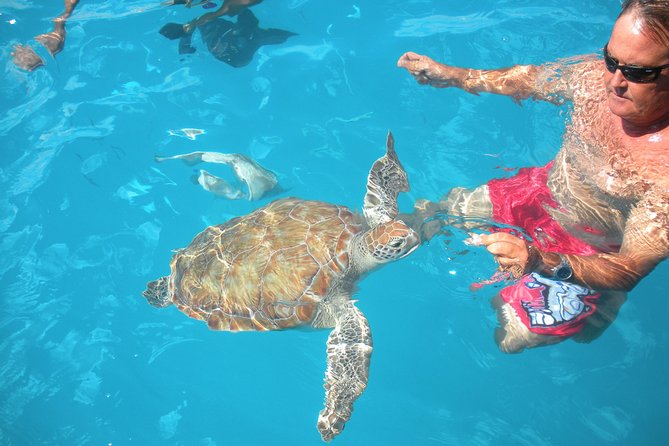 Barbados Catamaran Turtle Snorkel With Open Bar - Traveler Reviews and Experiences