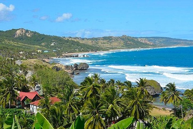Barbados Island Tour With Lunch and Wildlife Sanctuary - Lunch at Sand Dunes Bar