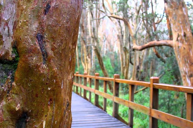 Bariloche: Boat Trip to Victoria Island and the Arrayanes Forest - Inclusions and Exclusions