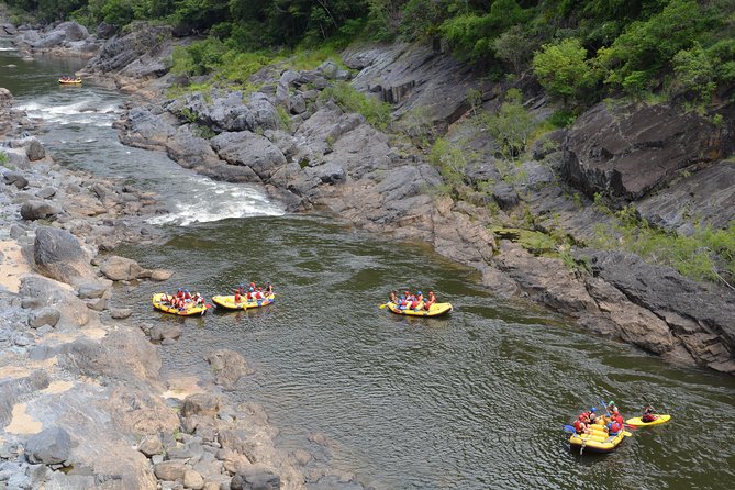 Barron River Half-Day White Water Rafting From Cairns - Customer Reviews and Experiences