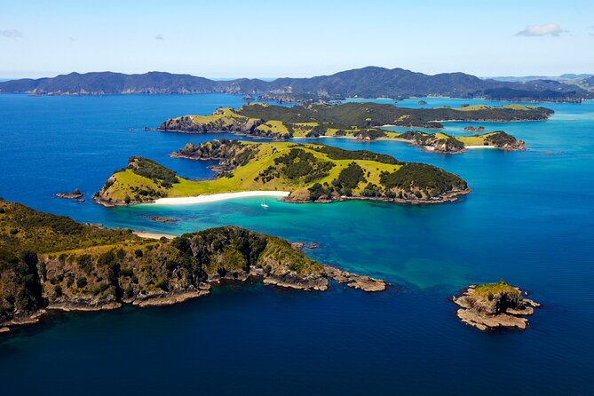 Bay of Islands Cruise & Island Tour - Snorkel, Hike,Swim,Wildlife - Meeting Points and Cancellation