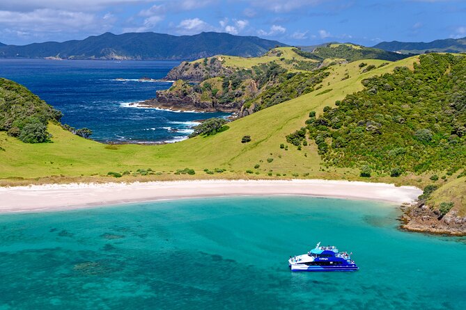 Bay of Islands Explorer Experience Small Group Tour From Auckland - Tour Requirements and Accessibility