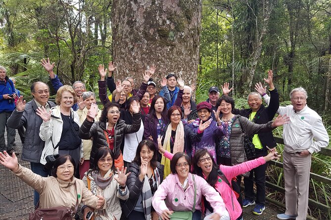 Bay of Islands Shore Excursion: Puketi Rainforest Guided Walk - Important Policies and Guidelines