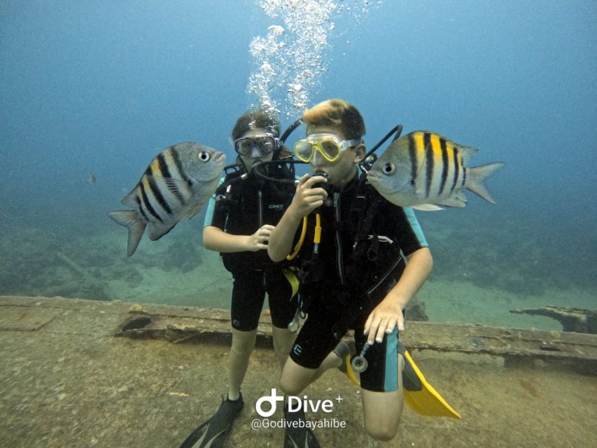 Bayahibe - PADI Open Water Course - Go Dive - Location and Transportation