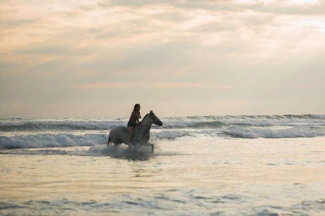 Beach Adventure Manuel Antonio - What to Expect on the Tour