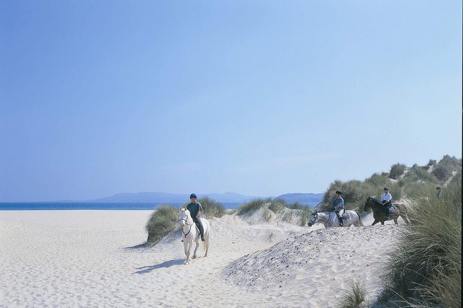 Beach & Countryside Horse Riding Outside Westport. Guided. 1 Hour - Wildlife Encounters