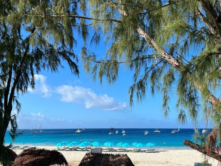 Beach Day on Carlisle Bay: Half-Day Shore Excursion - Complimentary Beach Chair and Umbrella