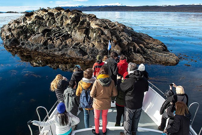 Beagle Channel Navigation With Minitrekking - Guided Experience