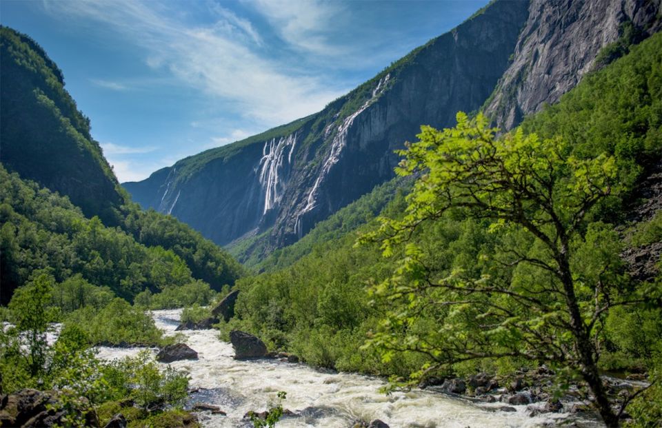 Bergen: Nærøyfjord Cruise and Flåm Railway to Oslo - Participant Information