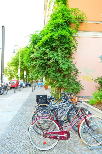 Berlin Reunited and Revived! 3-Hour Alternative Tour - Itinerary Details