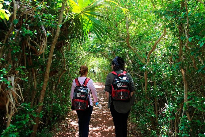 Bermuda Hidden Gems Summer Excursion - Snorkeling and Relaxation