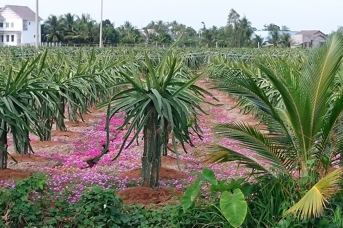 Best Mekong Delta Bike Tour - Pickup and Meeting Details