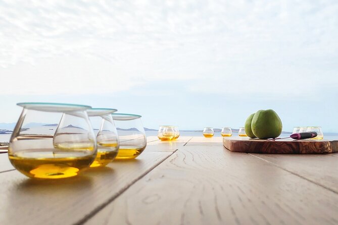 Best Mykonos Olive Oil Tasting - Learn From a World-Famous Expert - Accessibility and Transportation Options