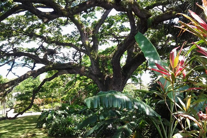 Best of St. Kitts Highlight Tour. - Pricing and Booking Information