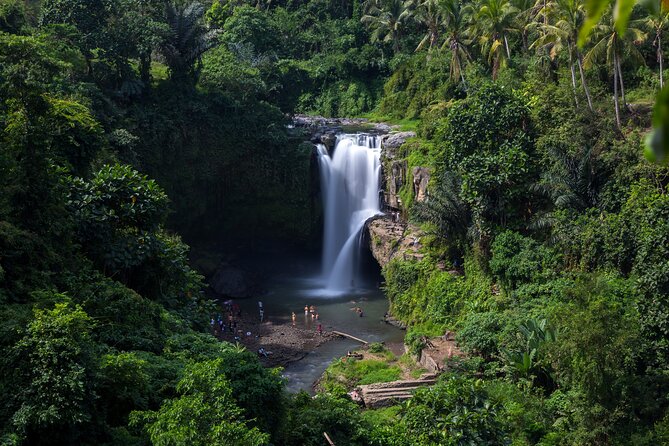 Best of Ubud - Private Guided Full-Day Tour, Ubud, Bali - Meeting and Pickup Details