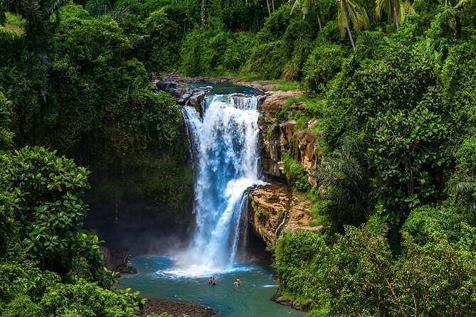 Best of Ubud Tours With Jungle Swing ( All Inclusive ) - Customer Reviews and Experiences