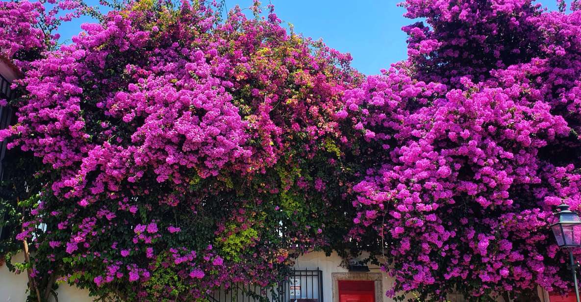 Best Part of Lisbon | Alfama and Belem - Exploring Winding Alfama Streets