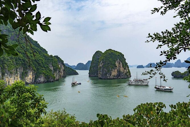 Best Seller Halong Bay Cruises - Accessibility Features