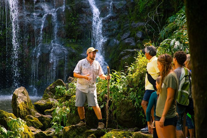 Big Island Kohala Zip and Dip Tour From Kona - Requirements for Participation