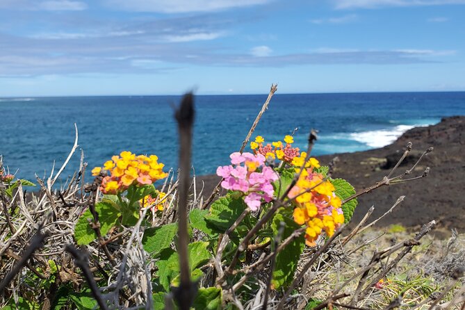 Big Island Southside ATV Tours - Vehicle Types and Options