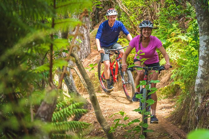 Bike Hire at the Waitangi Mountain Bike Park - Meeting Point and Directions