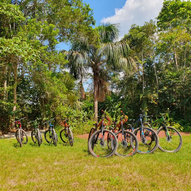 Biking in Peruvian Rainforest With Lagoon Visit - Essential Amenities Provided