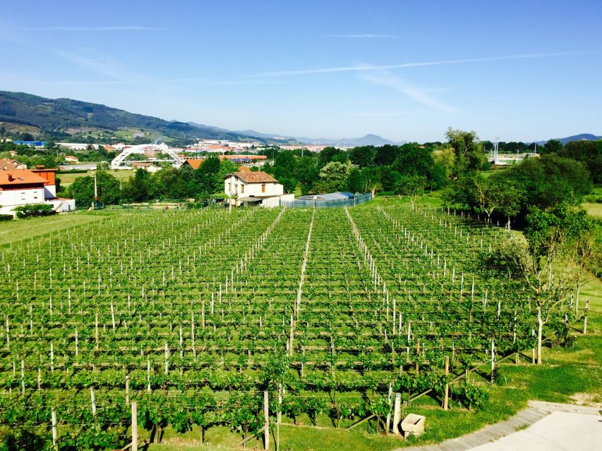 Bilbao: Guided Txacoli Wine Tasting - Inclusions