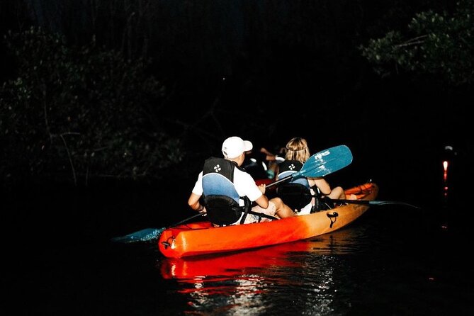 Bio Bay Kayak Tour in Fajardo - Booking and Confirmation