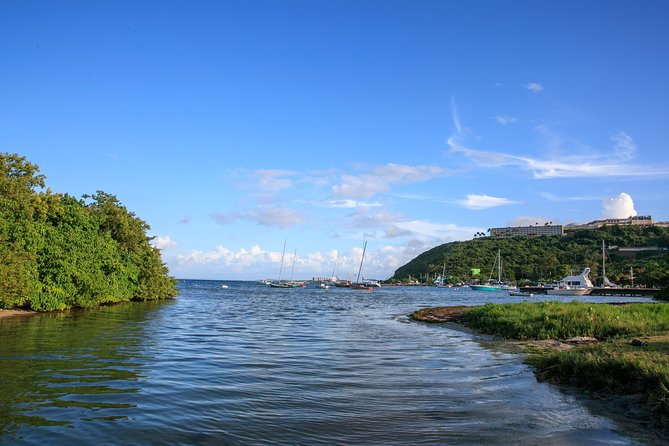 Bio Bay Night Kayaking With Transport From San Juan - Pricing Structure and Options