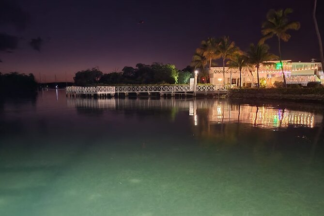 Bio Bay Swimming Experience With Boat Transport From La Parguera - Important Information