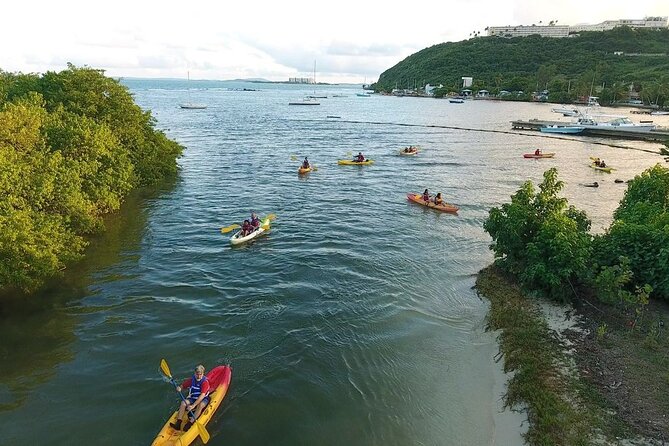 Bioluminescent Bay Night Kayak Experience - Safety and Accessibility Information