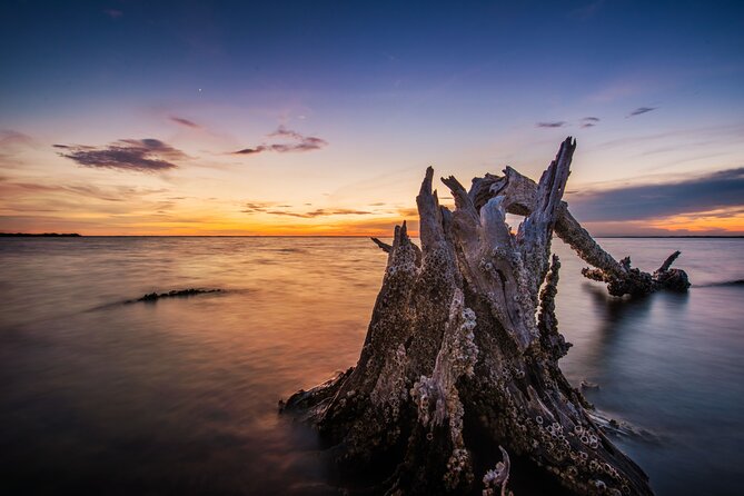 Bioluminescent Clear Kayak Tours in Titusville - Tour Inclusions and Amenities