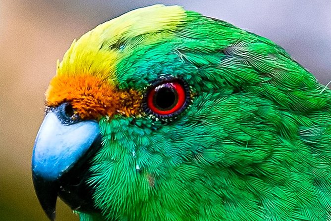Bird Watching and Dolphin Eco-Tour From Picton - Meeting Point Information